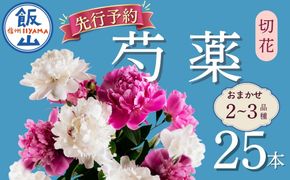 【先行予約】芍薬 切花 おまかせ2〜3品種 25本セット 《出荷時期：2027年5月上旬より》木内ファーム（Ca-001) 