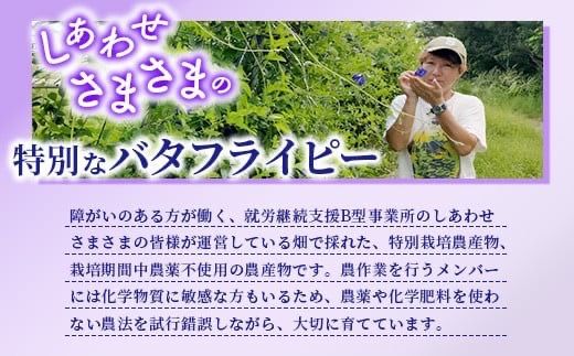 希少！採れたて新鮮！八重咲バタフライピーの生花（食用花、生ハーブ）特別栽培、栽培期間中農薬不使用 ３月～順次発送【 沖縄県 石垣市 沖縄 石垣 石垣島 花 生花 ハーブ 離島のいいもの 沖縄いいもの石垣島 】OI-8