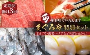 【定期便隔月3回】まぐろや　特別セット【 惣菜 まぐろ 鮪 本鮪 サーモン 海老 お刺身 海鮮 セット 福袋 キンメ きんめ お取り寄せ 御中元 お中元 お歳暮 父の日 母の日 贈り物 日本酒 焼酎】【 神奈川県 小田原市 】 142069_DQ178