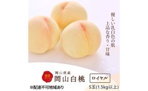 桃 2026年 先行予約 白桃 5玉 (1.5kg以上) 等級：ロイヤル 木箱入り もも モモ 岡山県産 国産 フルーツ 果物 セット ギフト