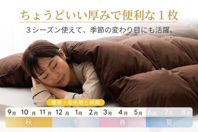 【春秋用】 洗える 羽毛布団 合掛け セミダブル ホワイトダックダウン93％ 1.0kg 無地 ブラウン 中厚 春用 秋用 [川村羽毛 山梨県 韮崎市 20745422] 合い掛け 布団 ブルガリア産 コインランドリー 掛け布団 かけ布団 ふとん 羽毛ふとん 合掛け布団 ロイヤルゴールドラベル
