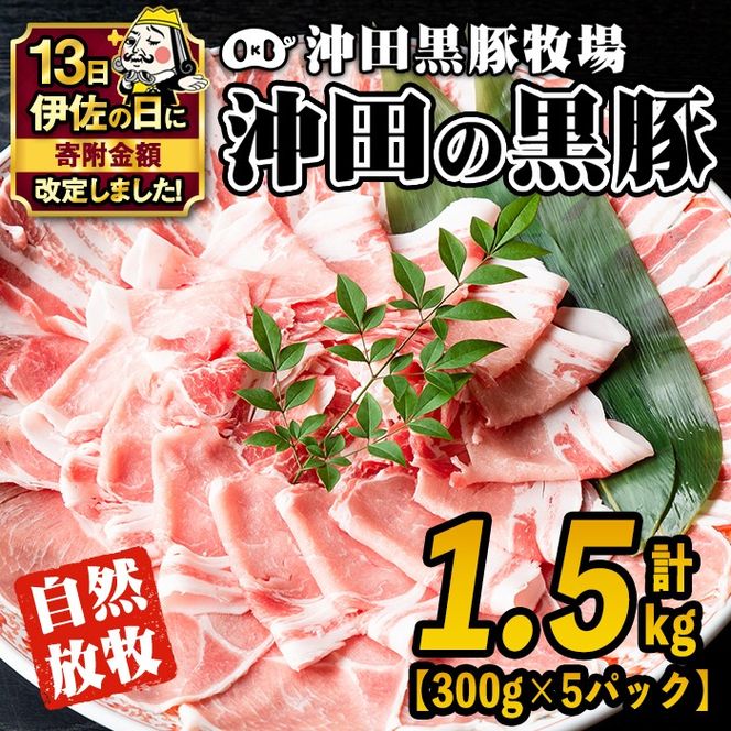 yɍszB6-01 yɍ̓zYIґȍEc̍(v1.5kgE[XA[XAoAAEfꂩ5pbN) Y BY     ؓ IĂ傤ĂԂ Ⓚ Ⓚ ycؖqz