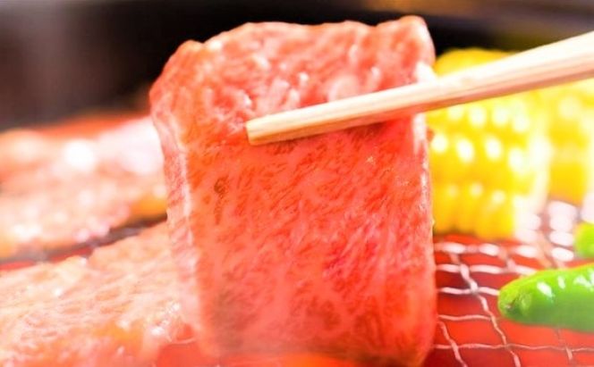 博多和牛 焼肉 セット 500g A4～A5 配送不可：離島 バーベキュー お肉 牛肉 バラ(カルビ) ロース 