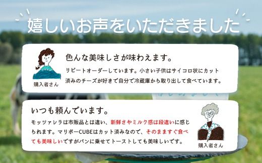 竹下牧場 takeshita farm【定期便12ヶ月】まるごとチーズセット 計560g【24025】