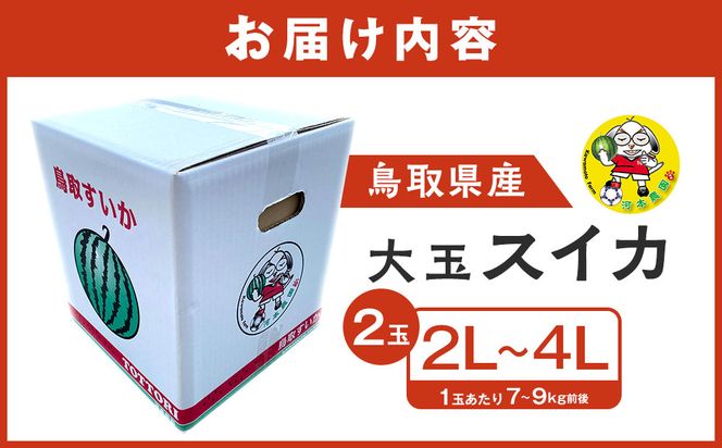 【先行予約】鳥取県北栄町産 大玉スイカ(2玉セット)１玉あたり7-9キロ前後2L-4Lサイズ（こちらの返礼品は、大栄西瓜ではありません） 313726_CK009