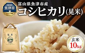 【令和8年度米】【農家直送】環境配慮「魚津のコシヒカリ（晃米）」10kg（玄米） ｜新米 MK農産 玄米 銘柄米 ブランド米 ご飯 おにぎり お弁当 和食 主食 国産 産地直送 甘み 香り もちもち ※2026年10月～発送