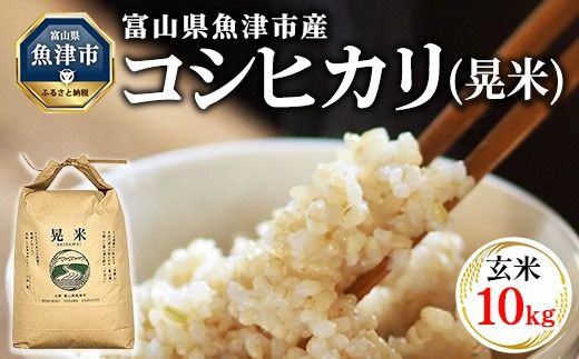 【令和8年度米】【農家直送】環境配慮「魚津のコシヒカリ（晃米）」10kg（玄米） ｜新米 MK農産 玄米 銘柄米 ブランド米 ご飯 おにぎり お弁当 和食 主食 国産 産地直送 甘み 香り もちもち ※2026年10月～発送