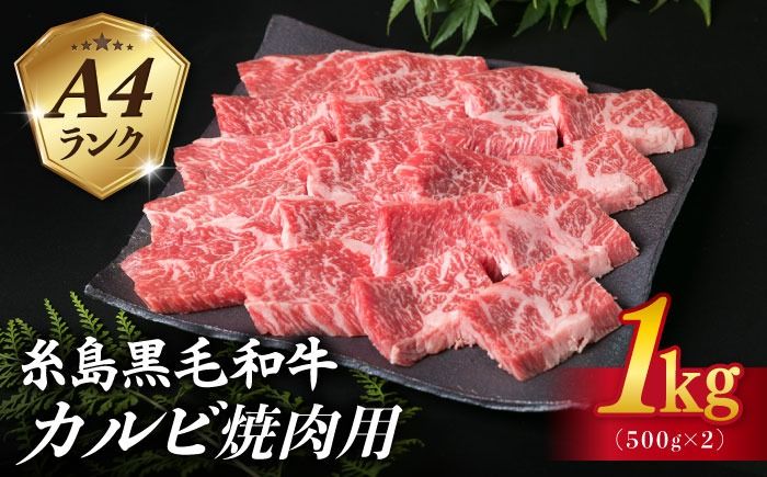 [焼肉用]A4ランク 糸島黒毛和牛 カルビ 1kg(500g×2) 糸島市 / 糸島ミートデリ工房[ACA378] 糸島 和牛 カルビ 焼肉 厚切り 希少部位 ジューシー