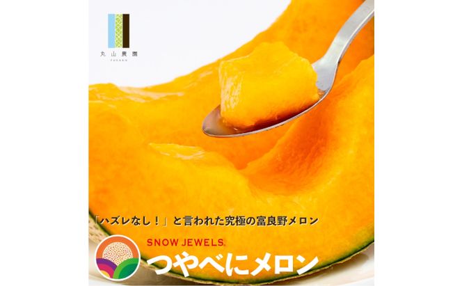 【2026年7月発送】数量限定・先行受付 北海道 富良野産 赤肉・青肉メロン 2玉 セット 4kg以上 大玉 (ふらの 丸山農園) ギフト ふらの 果物 フルーツ 甘い