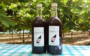 【糖度18～20度のぶどう100％使用】ぶどうジュース２本セット 【531】