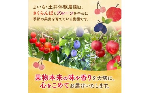 北海道余市町産 太陽の恵み 果汁100% りんごジュース 1L×5本入り 有機栽培 ストレート果汁_Y127-0012 