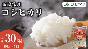 【 定期便 3ヶ月 】 JA北つくば 茨城県産 コシヒカリ 10kg ( 5kg × 2袋 ) 令和6年産 農協 JA 米 お米 白米 コメ こしひかり 茨城県 精米 新生活 応援 [AE044ci]