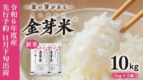 【 令和6年産・新米 11月下旬発送 】【 金芽米 】 つくばみらい市産 コシヒカリ 5kg × 2袋 ( 計 10kg )  金芽米 きんめまい 米 お米 無洗米 茨城県 カロリーオフ 低カロリー 東洋ライス 節水 時短 アウトドア キャンプ [EK03-NT]