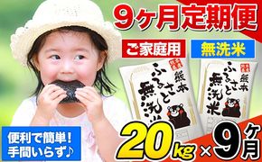 【9ヶ月定期便】熊本ふるさと無洗米 20kg 訳あり 《お申込み翌月から出荷》米 コメ こめ 熊本県産 米 ふるさと納税 わけあり 以上のお米ならこれ お米 おこめ 熊本 むせんまい kome musennmai 定期便---mifune_lcl_953_mo9---