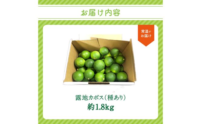 【C09022】【期間限定9月末まで】大分の露地カボス 約1.8kg