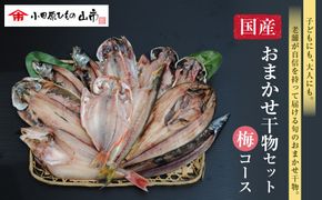 【国産】おまかせ干物セット 梅コース【お取り寄せ 海鮮 グルメ ギフト プレゼント 産地直送 産直 魚 手作り ひもの 詰め合わせ お中元 お歳暮 父の日 母の日 誕生日 自宅用 贈答品 贈答用 朝食 バーベキュー 神奈川県 小田原市 】 142069_AM003