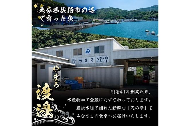 ＜定期便・全3回 (隔月)＞訳あり 干物大満足BOX (40尾以上) 定期便 簡単 調理 干物 あじ かます さば いわし みりん干し 丸干し 開き 魚 海鮮 冷凍 詰め合わせ セット 大分県 佐伯市【AQ85】【(株)やまろ渡邉】