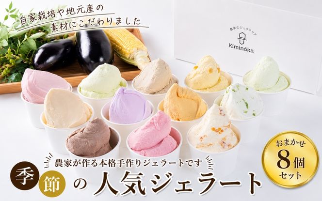 ジェラート セット 8個 7月発送 16000円 / キミノ―カ アイス クリーム スイーツ 野菜 果物【kmk105-jul-8】