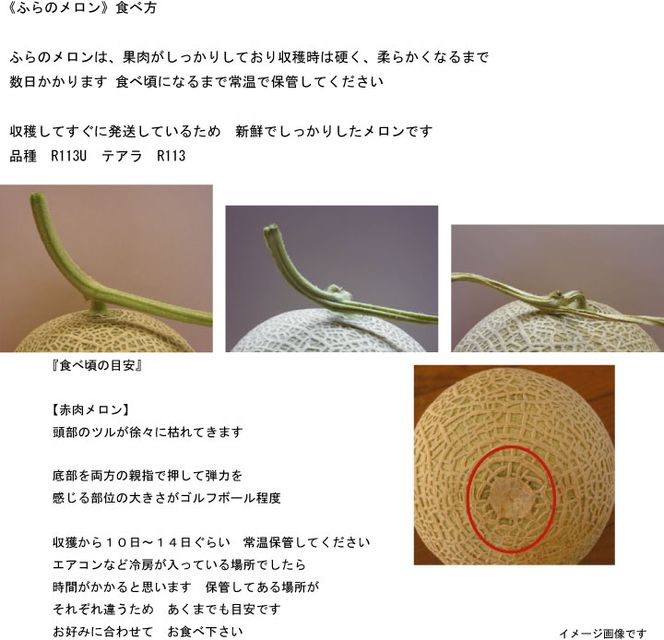 2026年夏発送【先行受付】 ふらのメロン 赤肉 秀大4玉 計8kg以上 富良野メロン 赤肉 めろん 北海道 甘い 大きい 果物 フルーツ