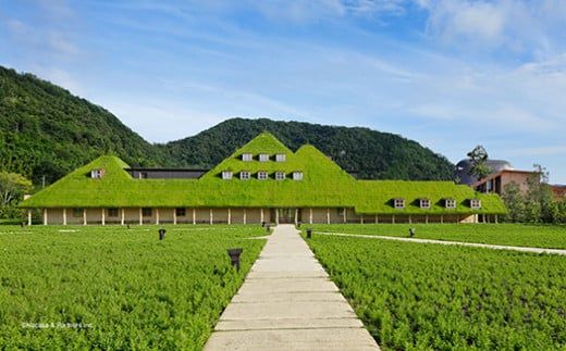 【クラブハリエ】【限定】近江八幡バームクーヘンｍｉｎｉ６個入 シェアボックス 個包装【FC07W】