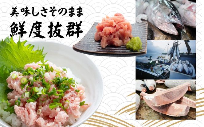 まぐろたたき ネギトロ(100g×10P)【魚住商店】_HA1975 まぐろ ねぎとろ 丼 おつまみ 国産 おかず 福岡県宗像市 宗像市 福岡 宗像