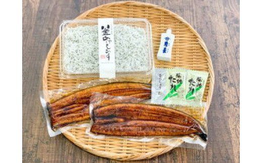 うなぎ蒲焼2本と釜揚げしらす300gコラボセット 【角長特製醤油タレ付き】【湯浅町×有田川町】   ※着日指定不可_E6101n