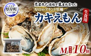 牡蠣 厚岸のブランド牡蠣 生食用 カキえもん Mサイズ 10個  [ 魚貝類 海鮮 海のミルク 国産 生食用殻付き牡蠣 まろやか クリーミー 食べやすい品種 海の香り 牡蠣の酒蒸し 焼き牡蠣  ]