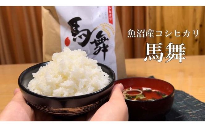 魚沼産コシヒカリ「馬舞」白米5kg お米 おこめ こめ 精米 こしひかり 新潟 