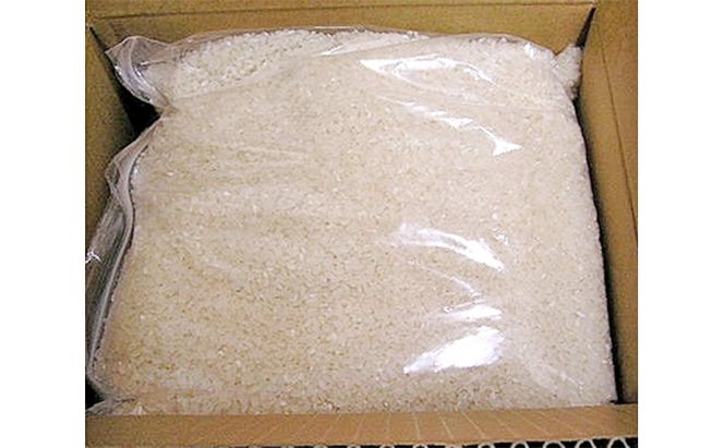 【北海道富良野産】令和6年産 無洗米 ななつぼし 5kg お米 米 ご飯 ごはん 白米