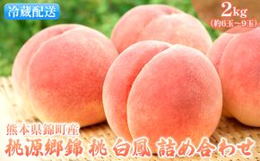 桃 白桃 白鳳 2kg 特製 桃源郷錦 もも モモ フルーツ 果物 デザート 配送不可:離島 