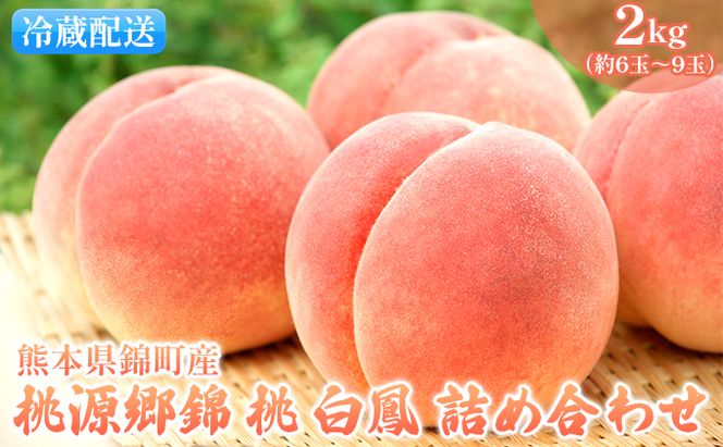 桃 白桃 白鳳 2kg 特製 桃源郷錦 もも モモ フルーツ 果物 デザート 配送不可:離島 