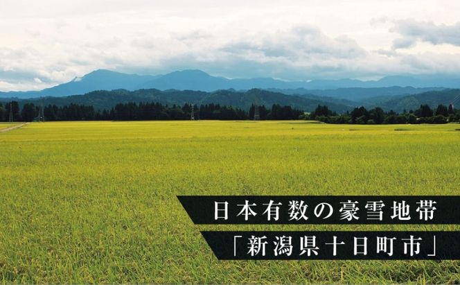 数量限定 従来品種 魚沼産コシヒカリ 精米 5kg