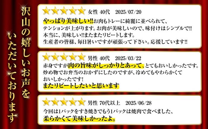 ＜選べる＞鹿児島県産黒毛和牛赤身スライス　K086-048