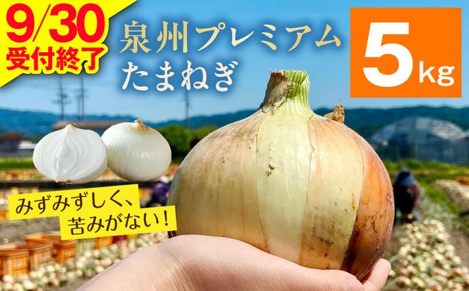 G3689-1 プレミアムたまねぎ 5kg【泉州 玉ねぎ タマネギ 玉葱 甘い 野菜 国産 オニオン サラダ カレー バーベキュー】