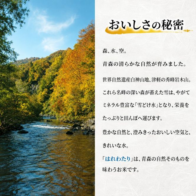 【3ヶ月定期便】【令和8年産新米先行予約】はれわたり 10kg(5kg×2袋) ×3回 計30kg 米 お米 白米 精米 ブランド米 単一原料米 5キロ 青森県産 はれわたり 青森県 鰺ヶ沢町