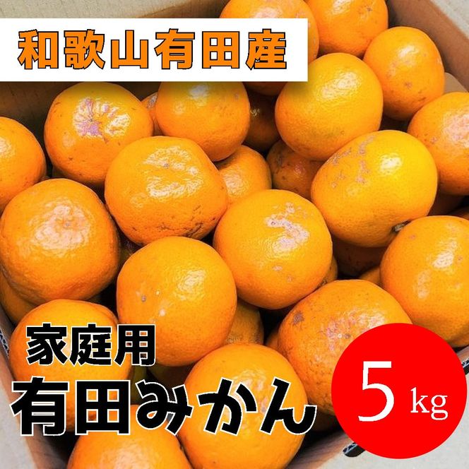 家庭用 有田みかん 5kg (約46個～51個) DJ039