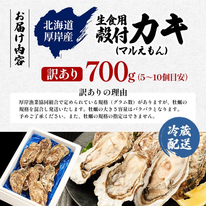 訳あり 北海道 厚岸産  殻付き 牡蠣 700g 【光輝】 [ 魚貝類 生牡蠣 海鮮 海の幸 生食用牡蠣 生食用 生食用殻付き牡蠣 濃厚 甘み  オイスター ]  