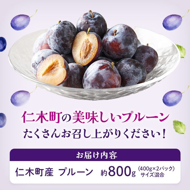 [先行受付]【9月発送】北海道 仁木町産 おすすめ プルーン 800g（400g×2パック） 果物類 果物 くだもの フルーツ 果物詰合せ [和田農園]