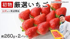 【 先行予約 】 初物 厳選いちご ( 2パック ×1箱 )【12月発送】( 茨城県共通返礼品 : 常陸太田市 ) いちご 数量限定 果物 くだもの フルーツ 苺 イチゴ ストロベリー 旬 厳選 いばらキッス ひたち姫 やよいひめ