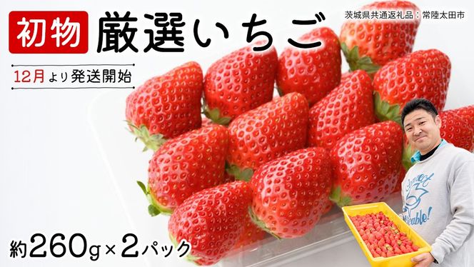 y錧vszy s\ z  I ( 2pbN ×1 )y12z( 錧ʕԗi : 헤cs )  ʌ ʕ  t[c  C`S Xgx[ { I ΂LbX ЂP 悢Ђ