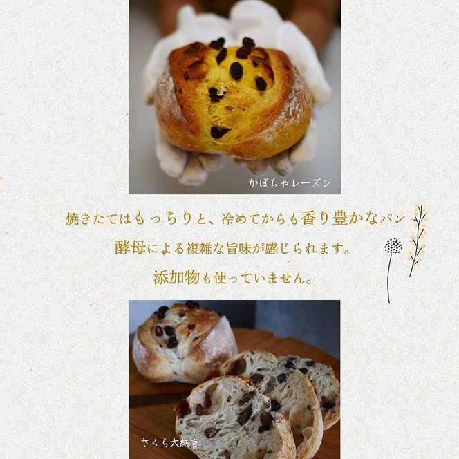 ＜自家製天然酵母の薪窯パン ふくくる＞おまかせ パンセット《ベーグル 自家製酵母 天然酵母 詰め合わせ パン 30種類 約12個》 ※2025年9月上旬～2026年7月下旬頃に順次発送