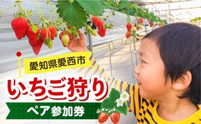 いちご狩り 40分食べ放題 ペア参加券  いちご 苺 いちご狩り 食べ放題 愛西市 / 有限会社マロンライフ[AEBN001]
