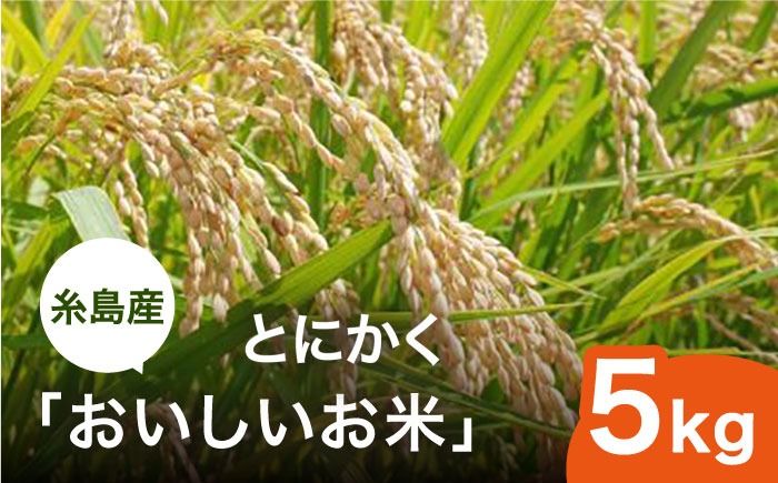 [令和6年産]とにかくおいしいお米 夢つくし 5kg 糸島市 シーブ [AHC021] お米 5kg 送料無料 ギフト おこめ 5キロ 米 白米令和5年 白米お米 白米5kg 白米送料無料 白米ギフト 白米おこめ 白米5キロ 白米栽培期間中 白米農薬不使用 白米おにぎり