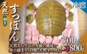 【ご家庭で手軽にすっぽん料理】天然すっぽん（捌き）700g〜800g 1箱 すっぽん 天然すっぽん 産地直送 すっぽん料理 すっぽん鍋 滋養強壮 贈答用 ギフト 浜坂産 兵庫県