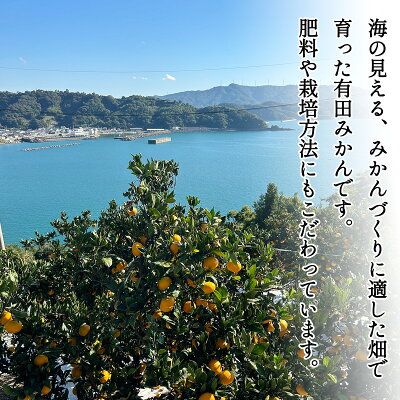 DZ6033_【2026年先行予約】家庭用 ご有田みかん 和歌山 小玉(2S,3Sサイズ混合) 約3kg