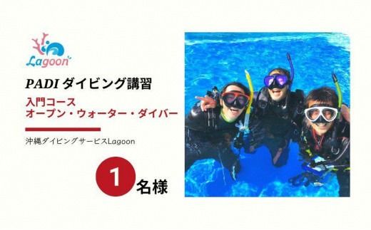 チケット PADIダイビング講習 ｜ 入門OWDコース（2日間eラーニング）1名【恩納村ラグーン】