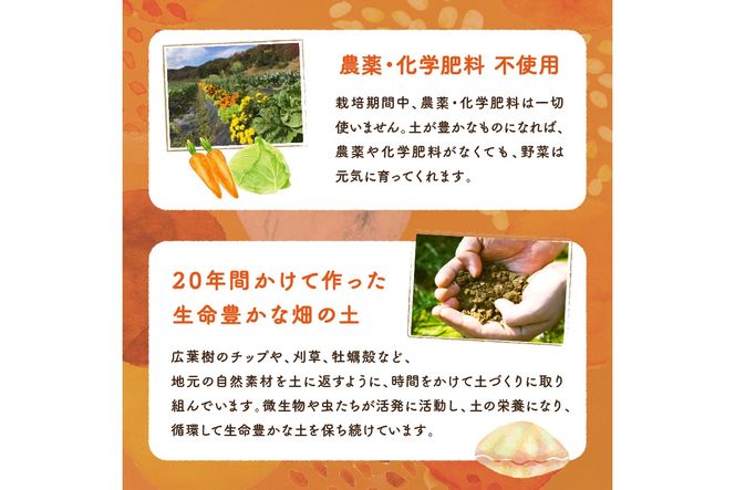 自然栽培じゃがいも 2.5kg 京都・京丹後産 自然栽培 旬野菜　じゃがいも 芋 いも 野菜 やさい 根菜 旬 京都 京丹後 自然栽培 農薬不使用　AB00009