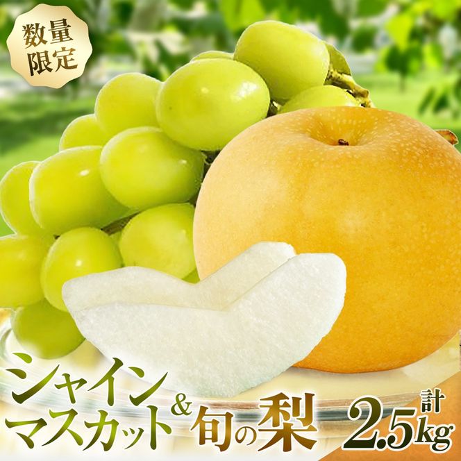 【期間限定】旬の梨とシャインマスカット 食べ比べセット 約2.5kg(ぶどう フルーツ 果物 詰合せ フルーツセット 果物セット 豊水 新高 新興)