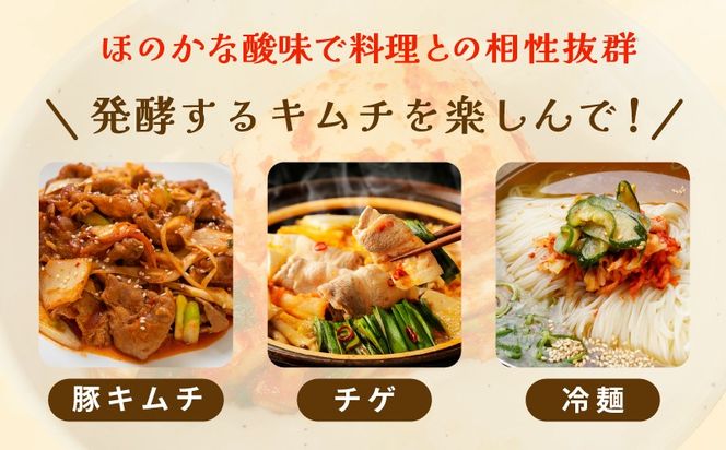 G3998 【定期便】韓国人が作る！無添加・砂糖不使用のキムチセット500g+おまけ季節のキムチ100g 全3回【本場 韓国 きむち 人気 無添加 韓国料理 惣菜】