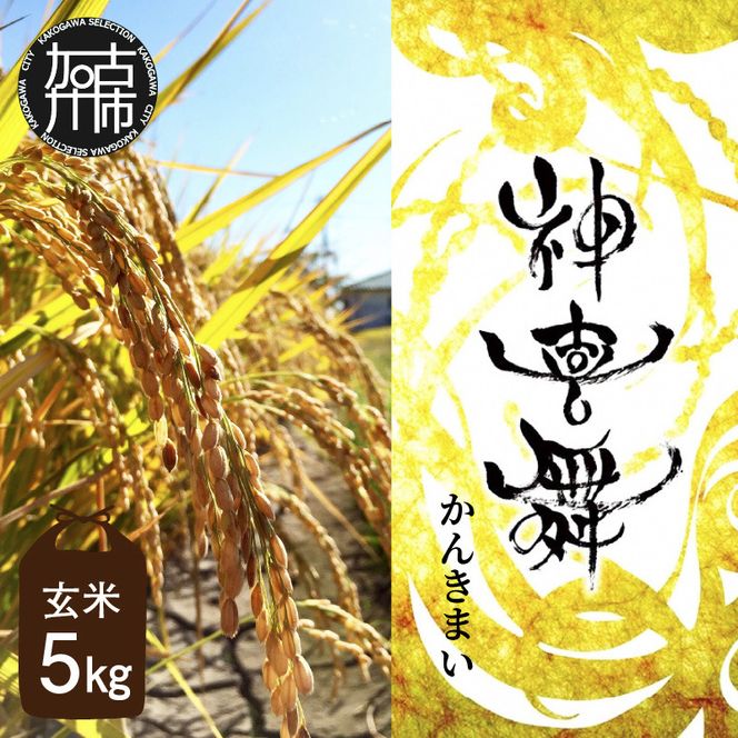 お米 【神喜舞】 玄米5kg [令和7年産]《 お米 玄米 5キロ 安心 安全 米 おこめ 国産 送料無料 ヒノヒカリ 》【2502B08403】